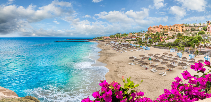 Strand von Costa Adeje auf Teneriffa mit Sonnenschirmen, türkisblauem Meer und Blumen im Vordergrund