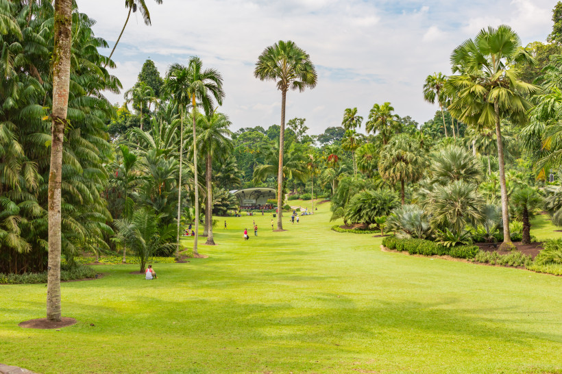 Botanischer Grüne Rasenfläche mit Palmen und Spaziergängern im Botanischen Garten von Singapur