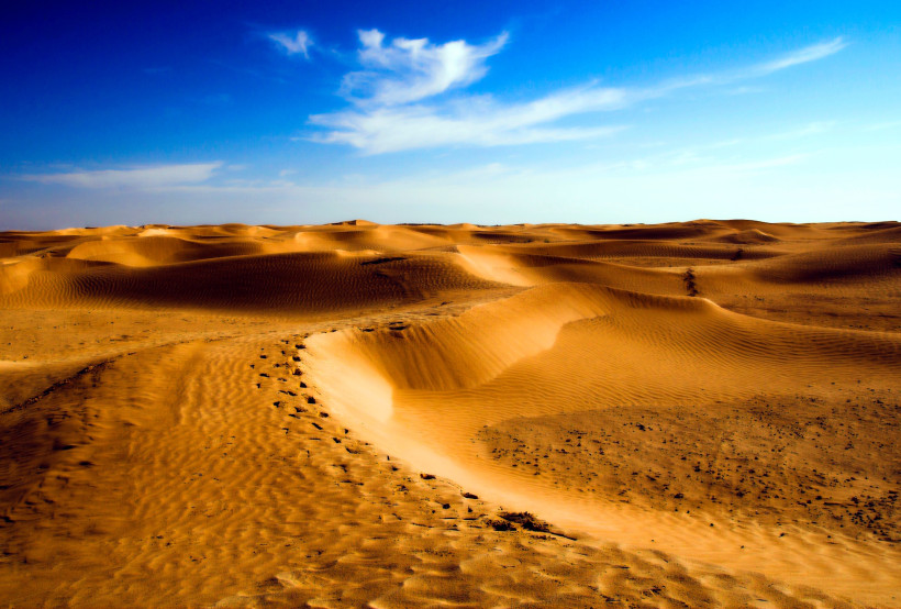 Eine endlose Wüstenlandschaft mit goldgelben Sanddünen und sanften Hügeln, die bis zum Horizont reichen. Der blaue Himmel mit vereinzelten weißen Wolken verstärkt den Eindruck von Weite und Freiheit.