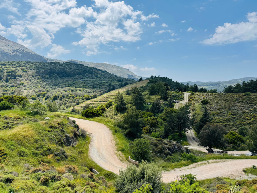 Geschwungene Schotterwege durch grüne Hügellandschaft auf Rhodos mit Büschen, Bäumen, Terrassenfeldern und Bergen im Hintergrund