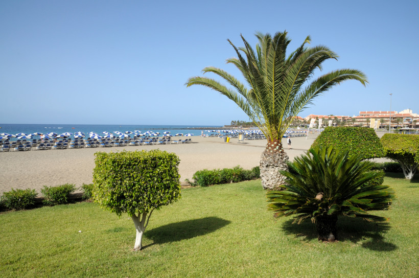 Gepflegte Gartenanlage mit Palmen und dekorativ geschnittenen Sträuchern am Strand von Playa de las Américas. Dahinter ein breiter Sandstrand mit Liegestühlen und blau-weißen Sonnenschirmen sowie Blick auf das ruhige Meer und die Küstenlinie.