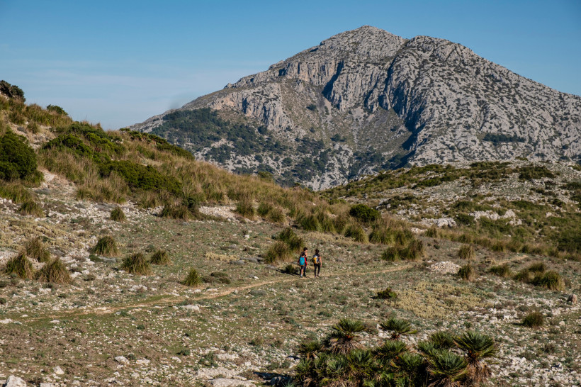 Mallorca - Estellencs Eine beeindruckende Landschaft auf Mallorca mit einem Wanderweg, der sich durch eine steinige und grasbewachsene Hügellandschaft schlängelt. Zwei Wanderer sind auf dem Weg zu sehen. Im Hintergrund ragt ein majestätischer, felsiger Berg auf, der von grüner
