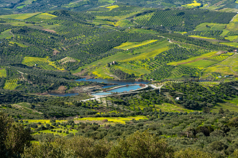 Hügellandschaft der Weinregion Archanes mit Weinbergen und Feldern