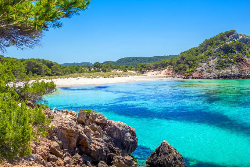 Bucht mit weißem Sandstrand, türkisblauem Wasser und Pinienbewuchs an der Platja des Bot auf Menorca