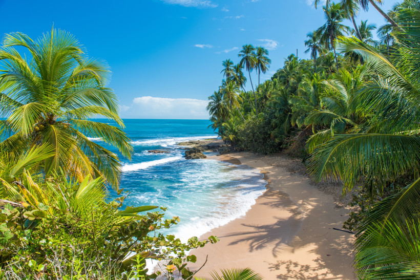 Mauritius Tropischer Sandstrand mit Palmen und türkisblauem Wasser an einem sonnigen Tag