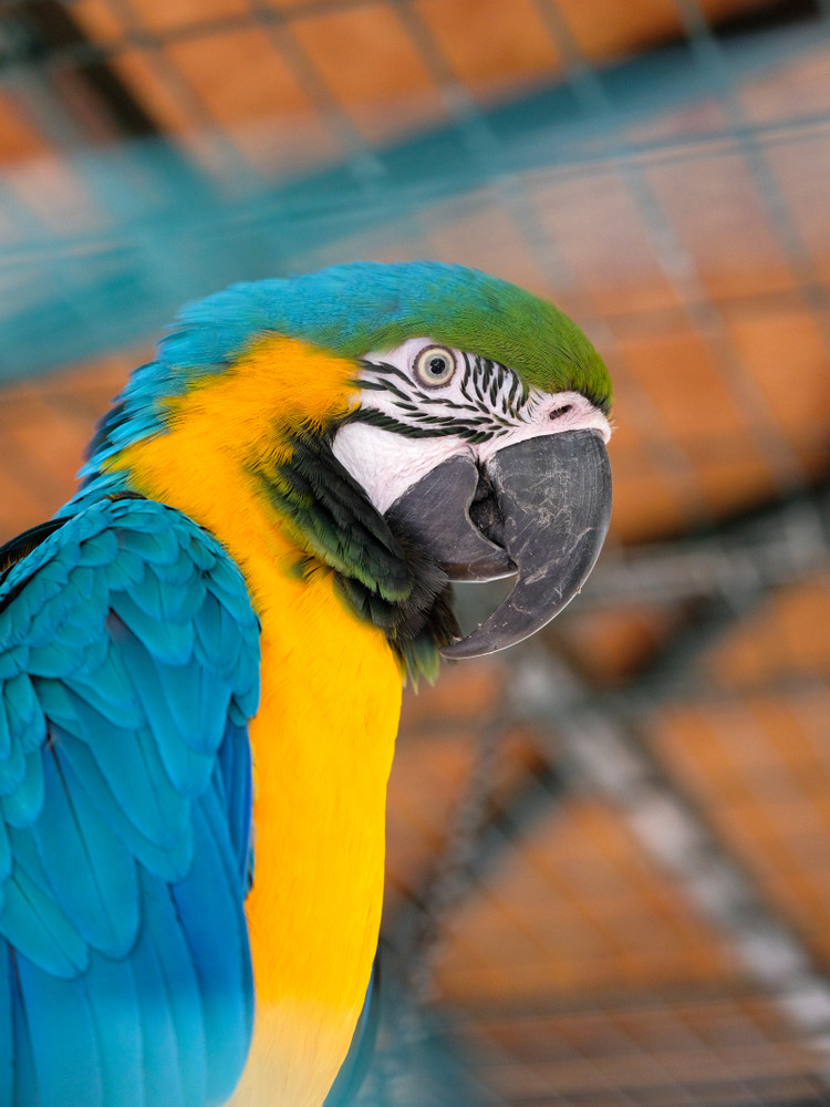 Zoo Antalya