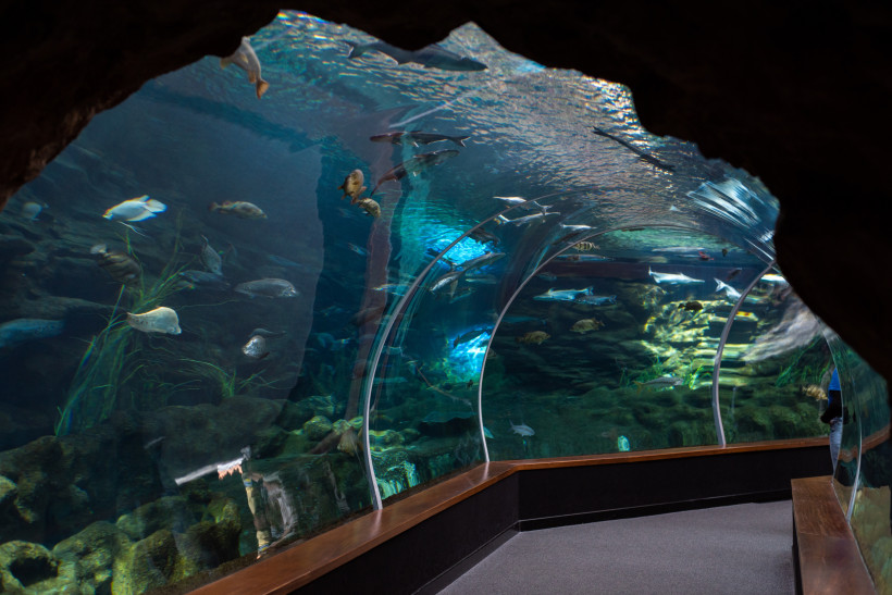 Unterwassertunnel im Poema del Mar Aquarium mit Fischen in einem großen Becken