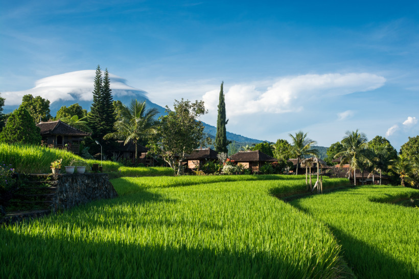 Munduk, Bali Traditionelle Holzhäuser inmitten grüner Reisterrassen mit Blick auf den Vulkan Agung auf Bali, Indonesien