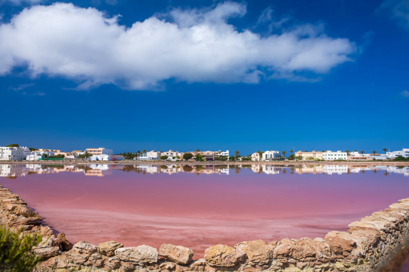 Formentera Panoramaaufnahme eines rosa schimmernden Salzsees auf Formentera mit einem Steinufer im Vordergrund. Im Hintergrund spiegeln sich weiße Häuser und Palmen im ruhigen Wasser. Darüber ein strahlend blauer Himmel mit vereinzelten weißen Wolken.