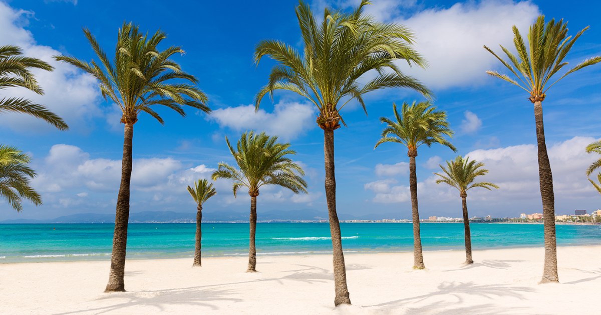 mallorca 4 tage all inclusive