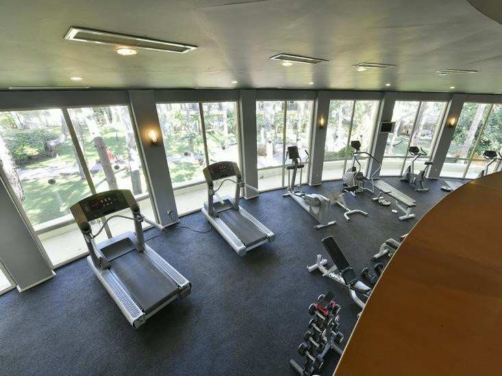 Gypsophila Club Marine