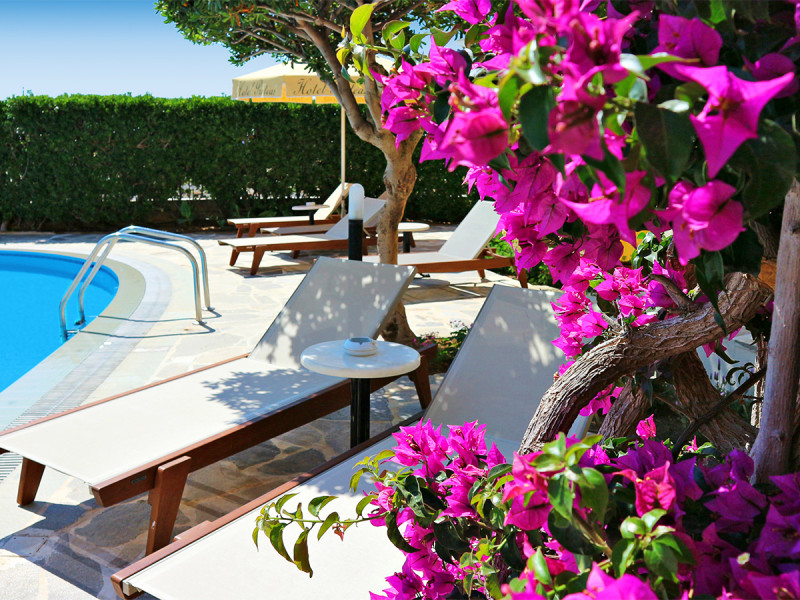 Proteas Hotel & Suites