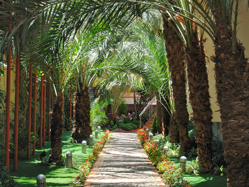 Hotel Elegance International