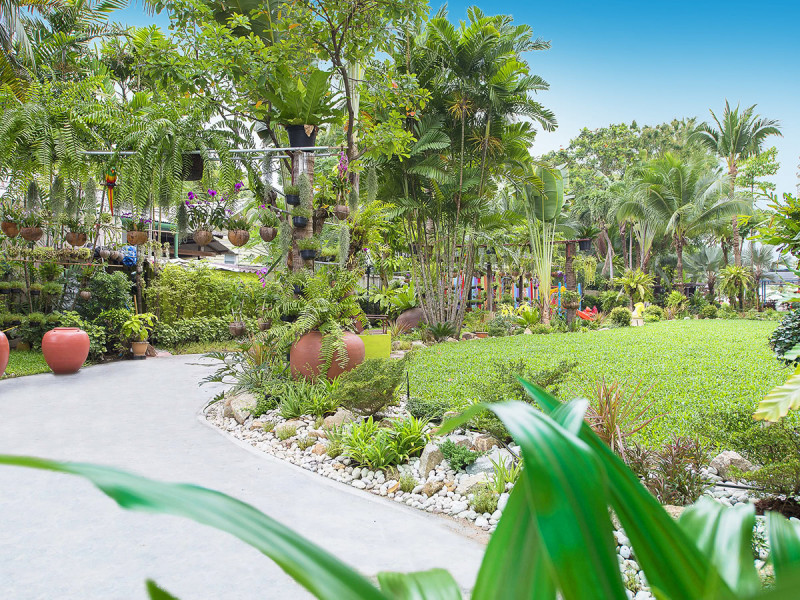 Matcha Samui Resort