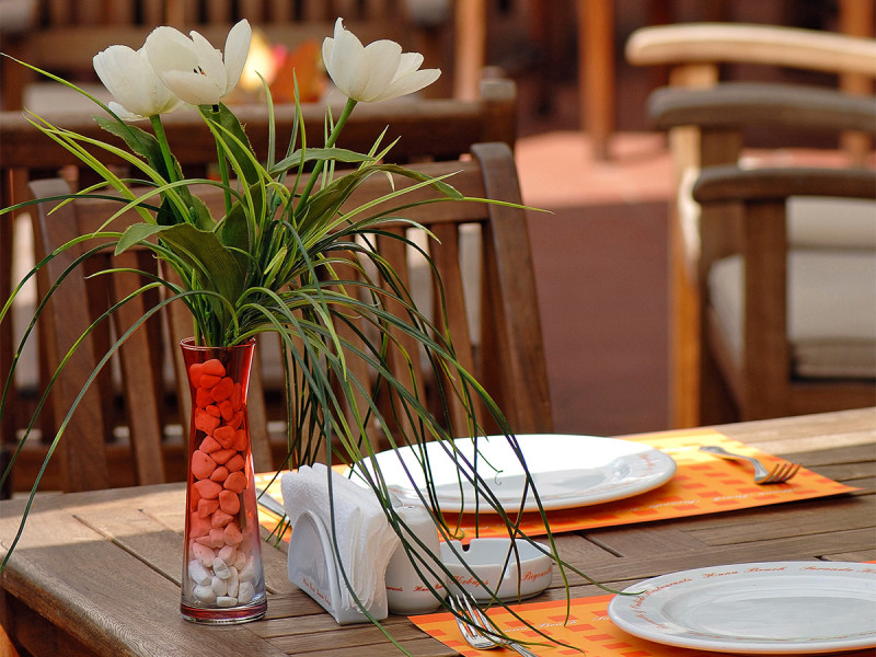 Hotel Elegance International