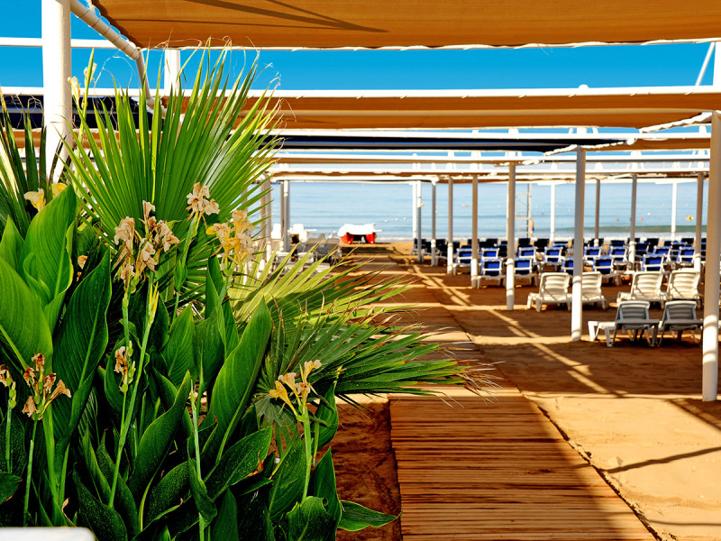 Hotel Dream Family Club