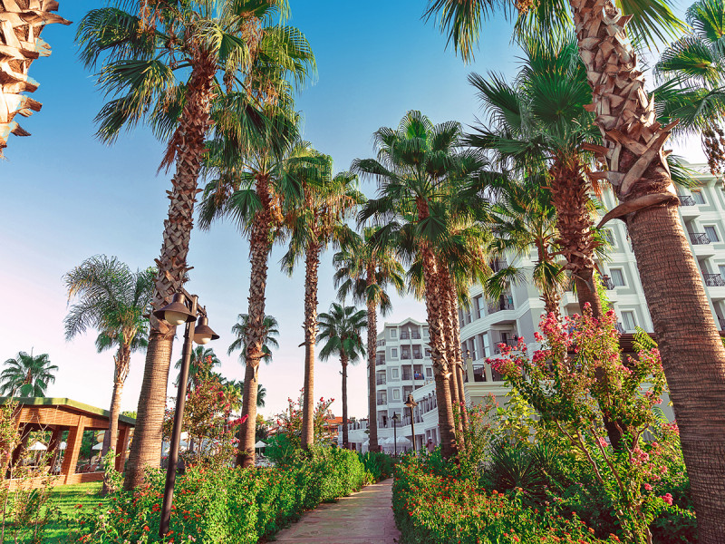 Hotel Royal Atlantis Beach