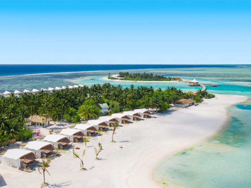 Cinnamon Hakuraa Huraa