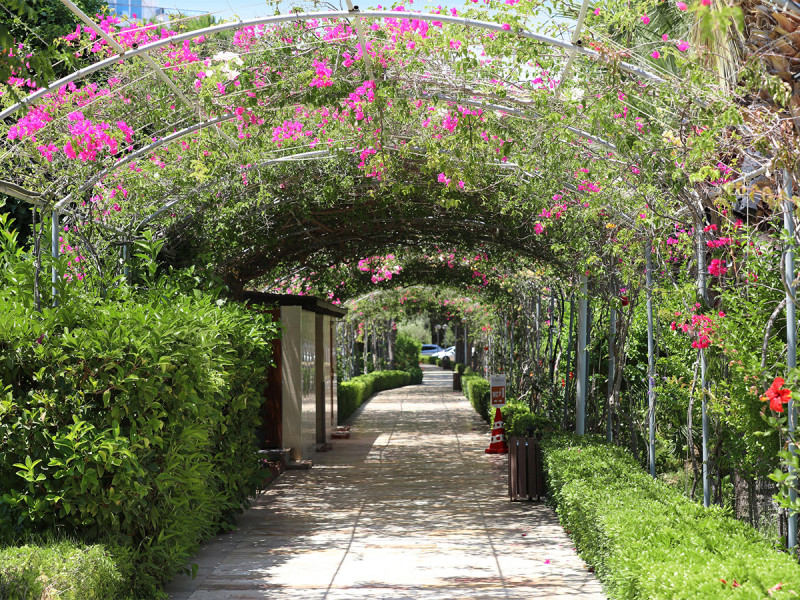 Venosa Beach Resort & Spa