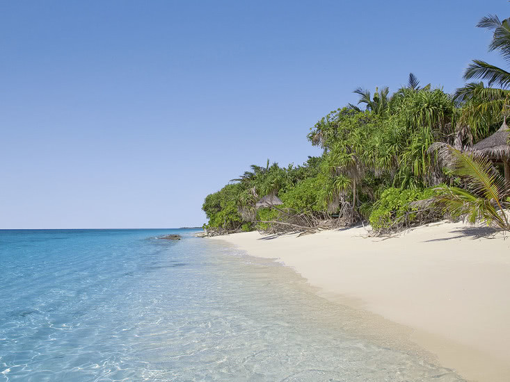 Coco Palm Dhuni Kolhu
