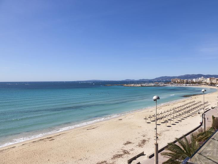 Eden Palma Playa Hotel