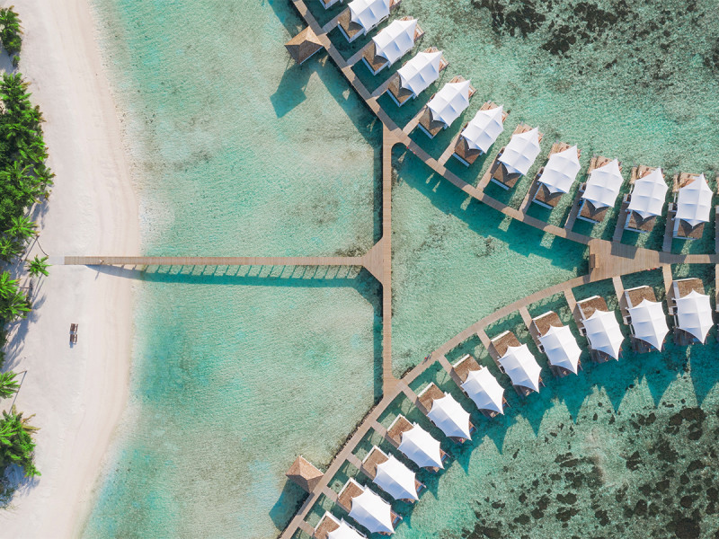 Cinnamon Hakuraa Huraa