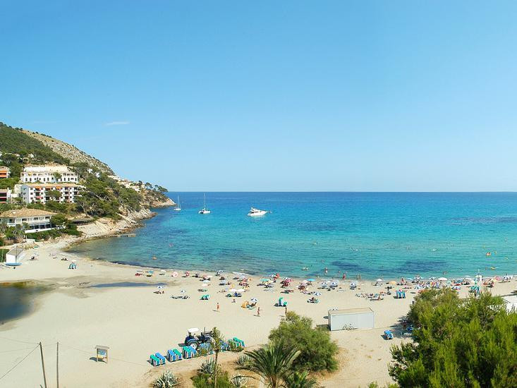 Castell Royal Universal