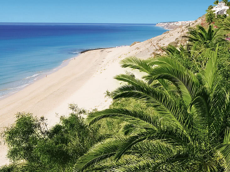 SBH ClubParaiso Playa