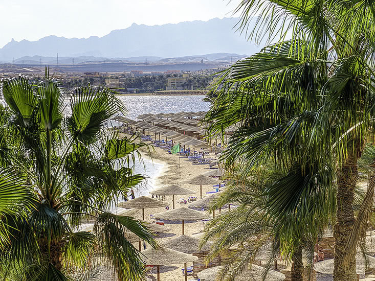 Hotel Fort Arabesque Beach Resort