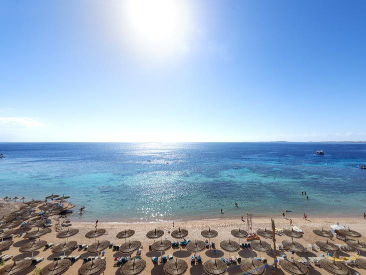 Reef Oasis Beach Resort