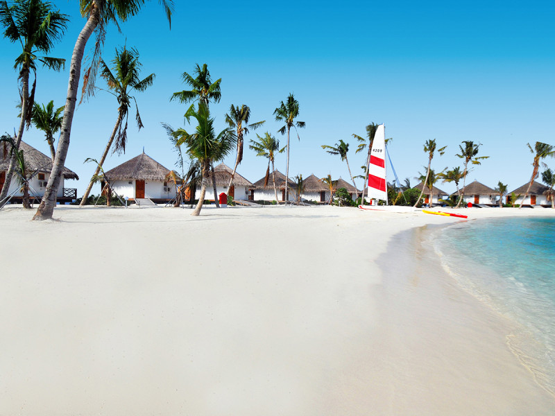 Safari Island Resort