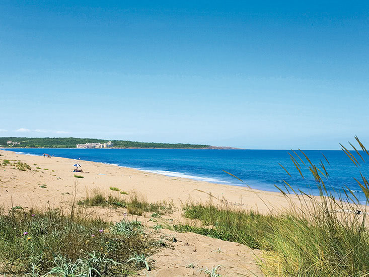 DUNI Royal Pelican Resort