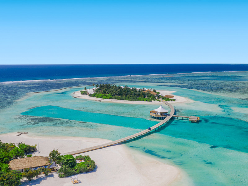 Cinnamon Hakuraa Huraa