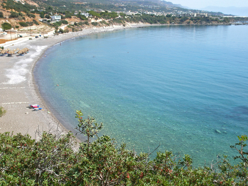 Hotel Avra Palm