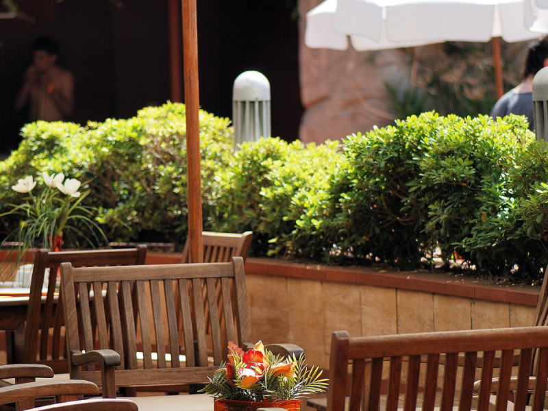 Hotel Elegance International