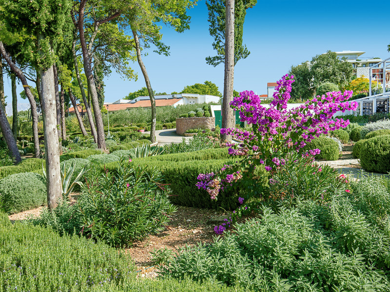 Aminess Velaris Resort