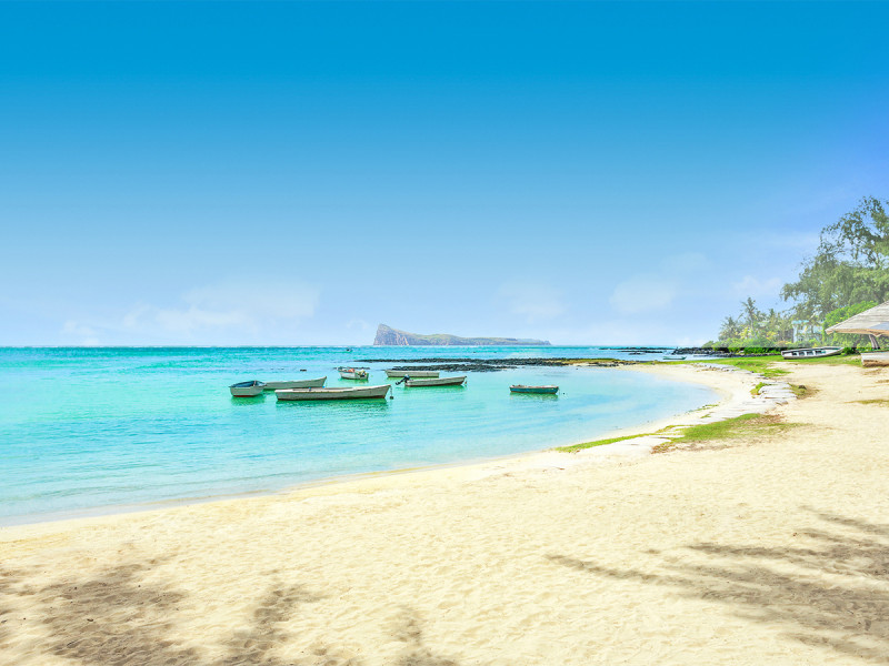 Coin de Mire Attitude