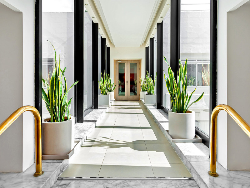 Hotel Plaza & Plaza Regency