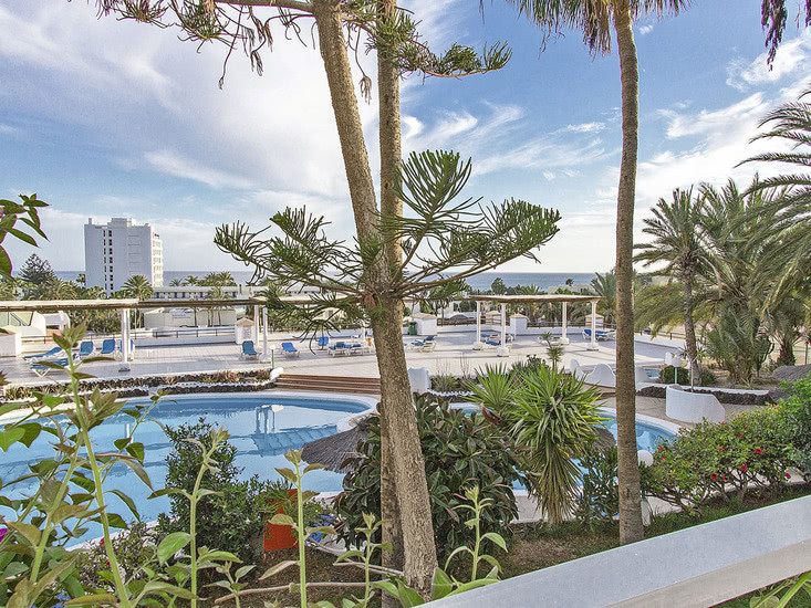 Studios MatorralJandia