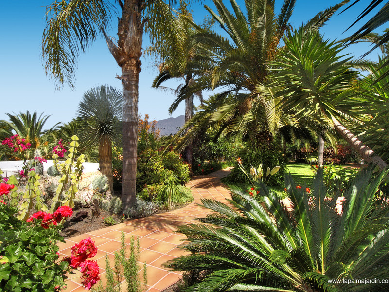 Hotel La Palma Jardin