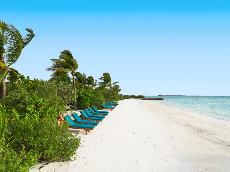 Canareef Resort Maldives