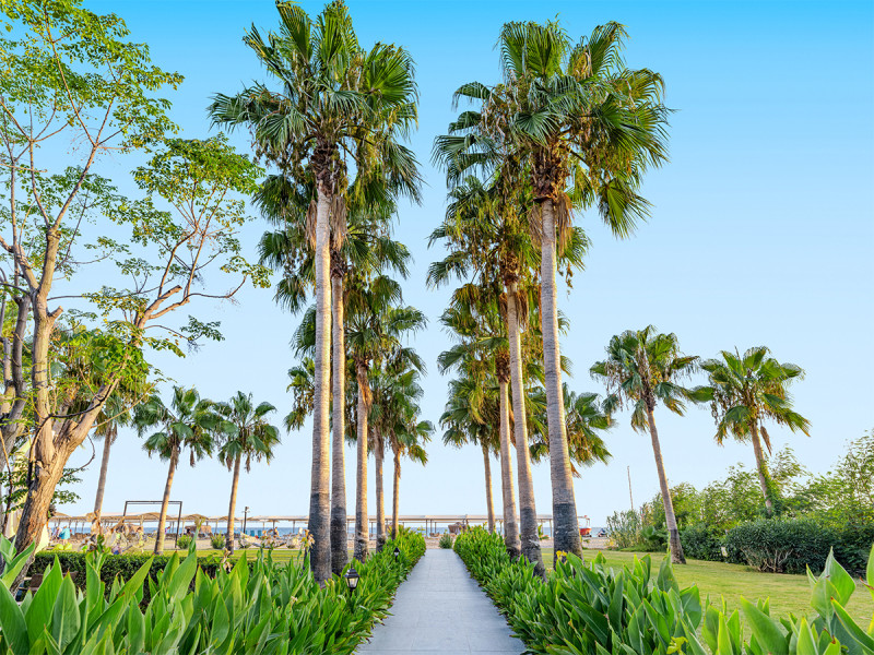 Hotel Washington Resort