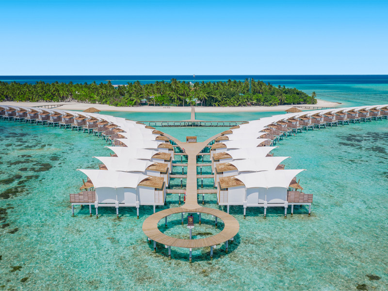 Cinnamon Hakuraa Huraa