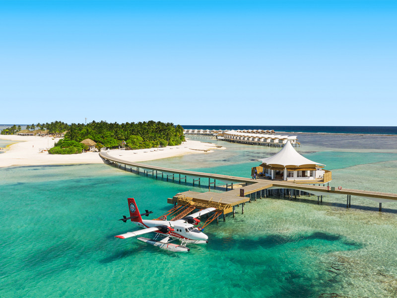 Cinnamon Hakuraa Huraa