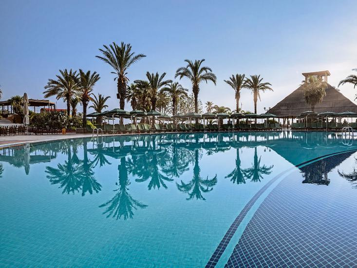 Gypsophila Club Marine