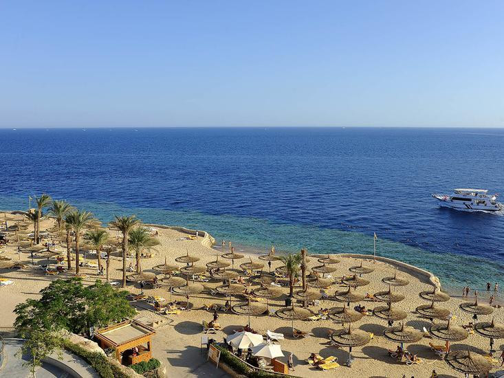 Reef Oasis Blue Bay R.