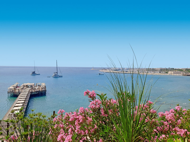 Laur Hotels Experience Elegance