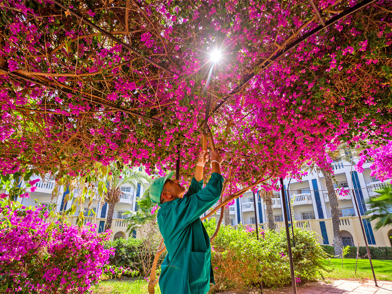 Hotel Medina Belisaire & Thalasso