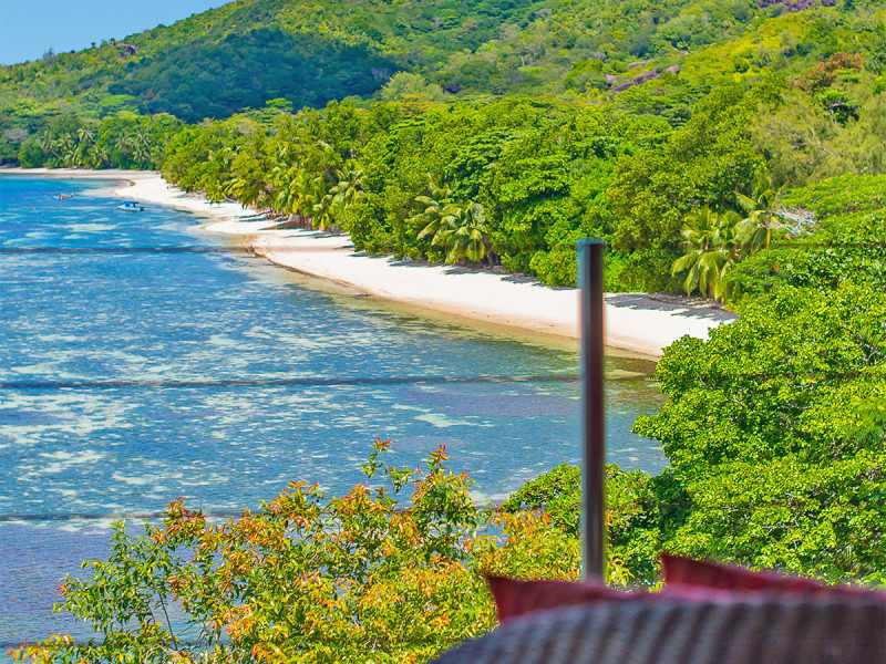 Coco de Mer & Black Parrot Suites