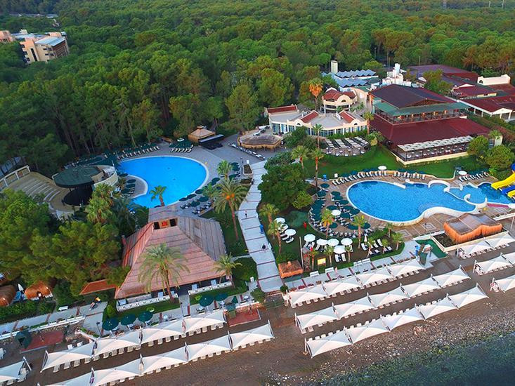 Gypsophila Club Marine